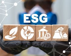 ESG-инвестирование: главные принципы, как ESG-инвестиции влияют на фондовый рынок