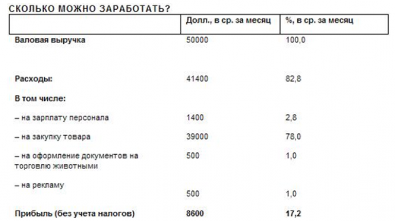 Бизнес план по открытию зоомагазина пример