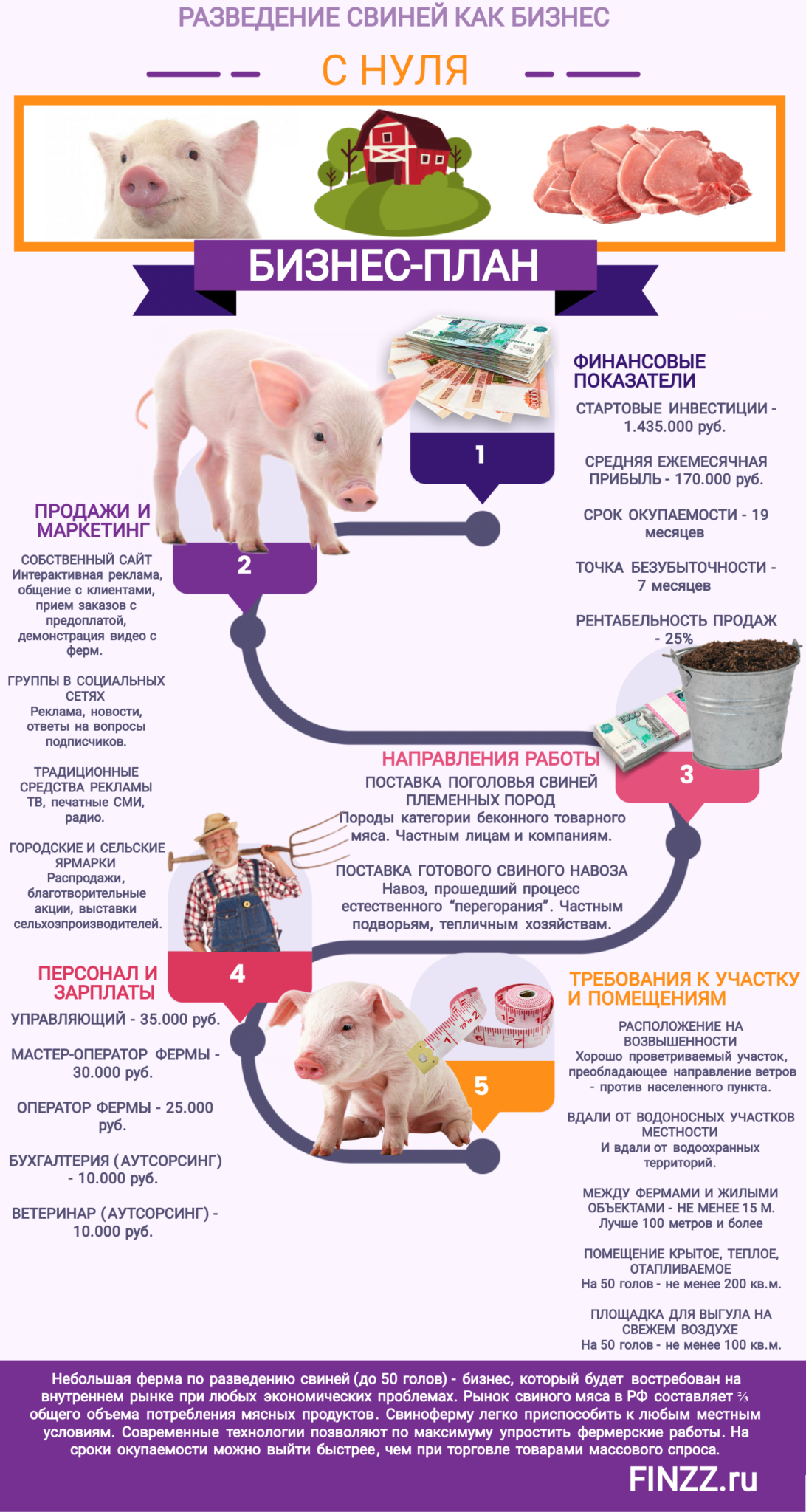 Бизнес план по разведению кур