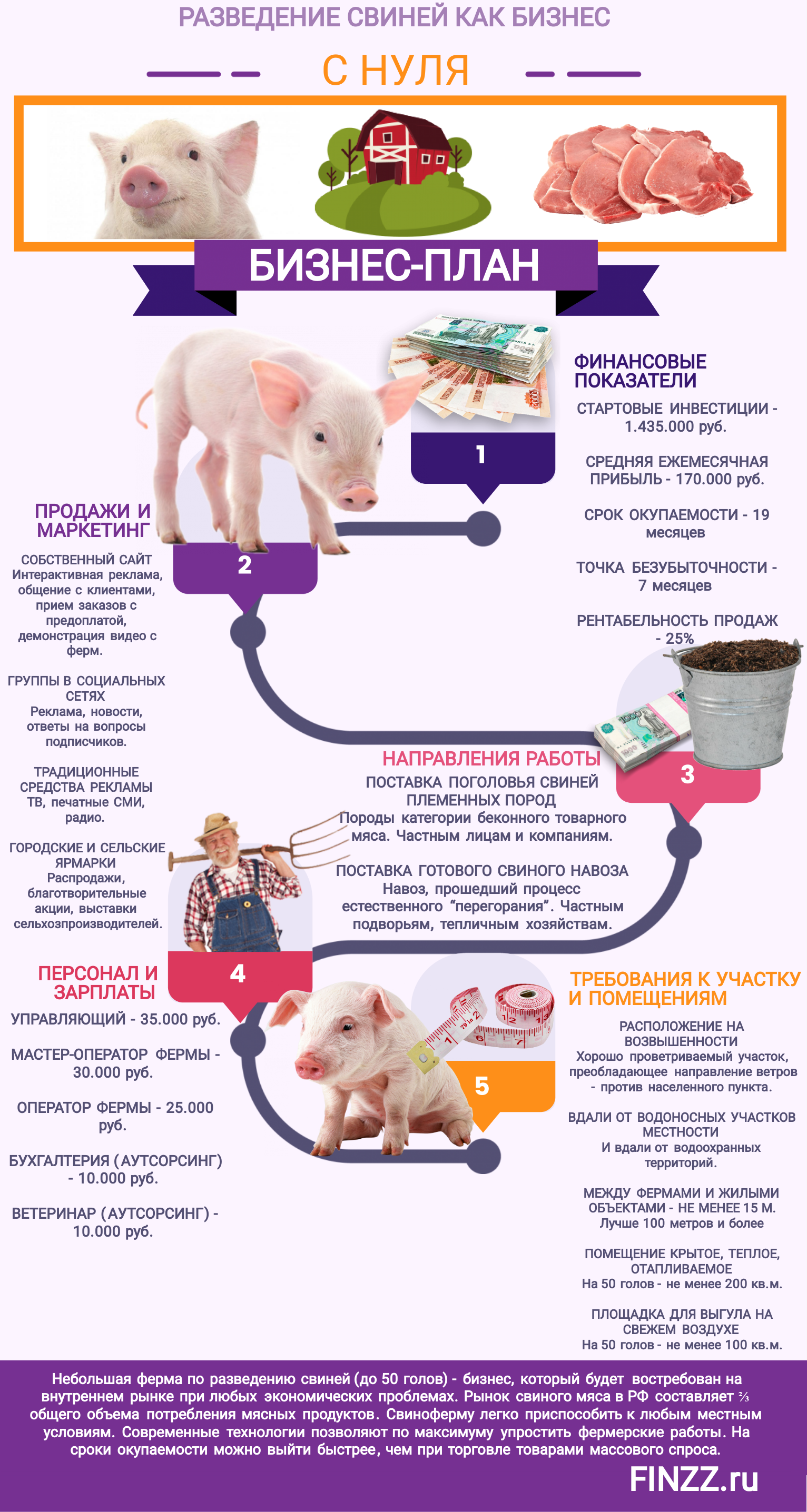 Как открыть бизнес по разведению вьетнамских вислобрюхих свиней