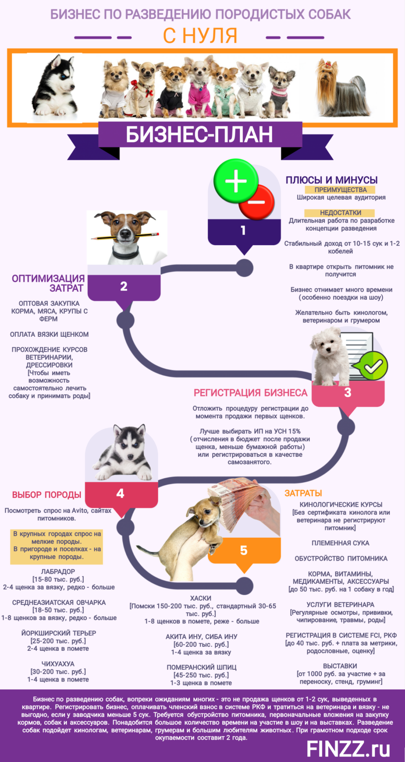 Бизнес план приют для животных презентация