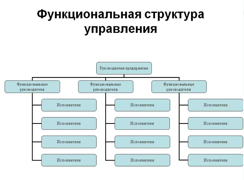 Виды структурных принципов. Функциональная структура управления организацией. Функциональная организационная структура управления. Функциональная организационная структура организационная. Функциональная организационная структура схема.