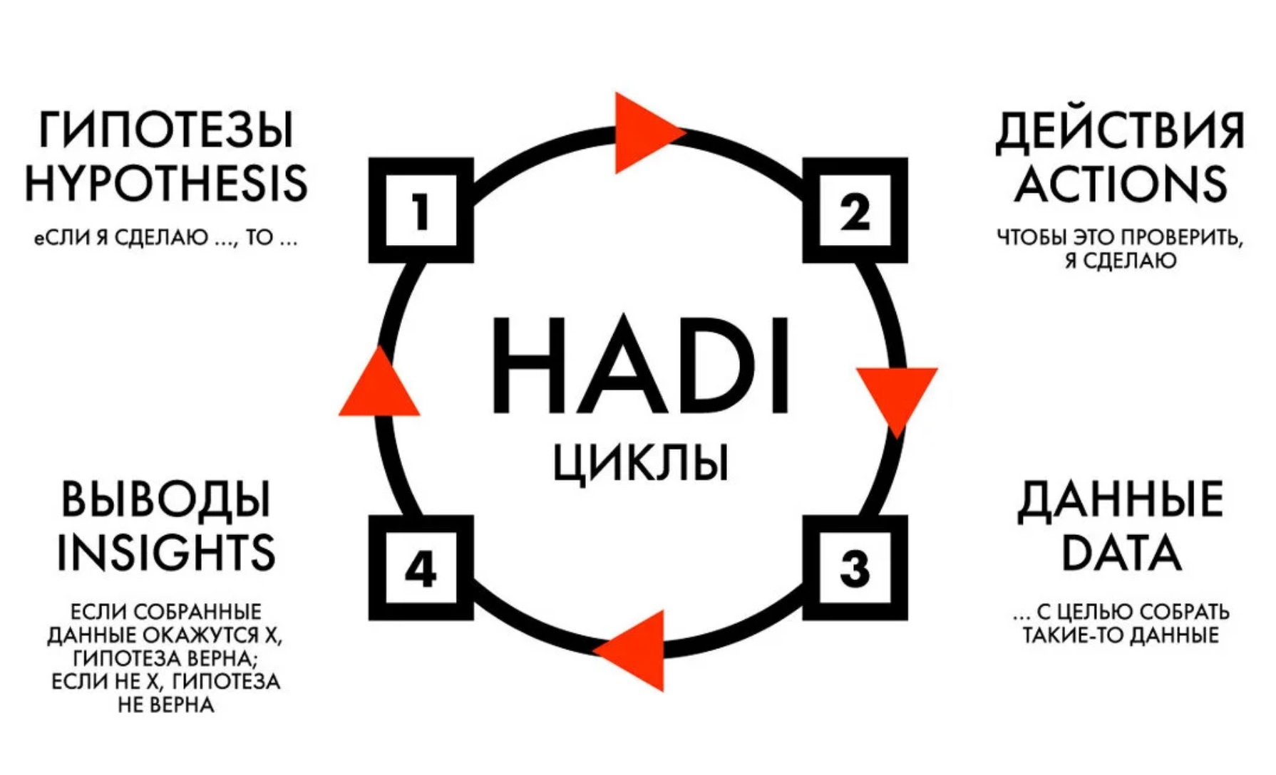 Hadi-циклы для стартапов. Что такое. Как применять