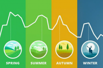 Сезонность продаж на WB