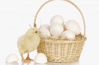 🎲 Диверсификация портфеля товаров